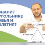Треугольнике Здоровья и Долголетия