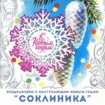 С наступающим 2025 годом